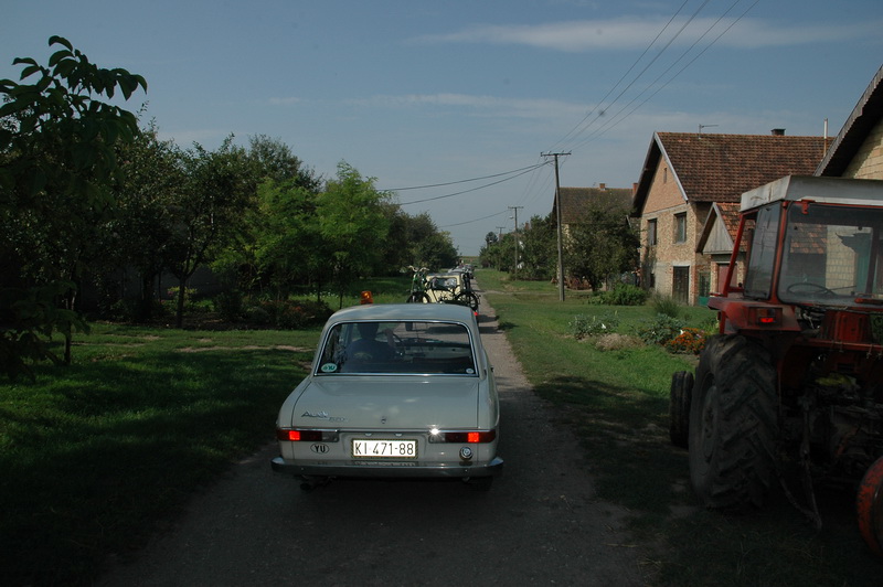 DSC_7528.JPG