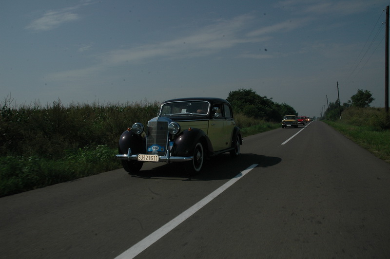 DSC_7590.JPG